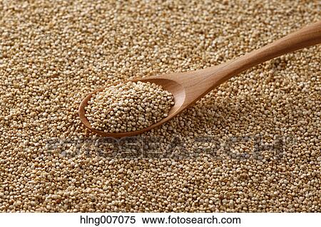 Stock Photography - Quinoa. Fotosearch