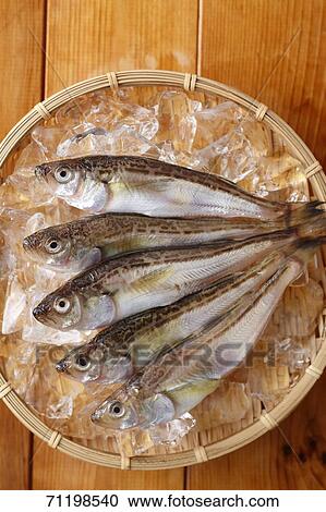 Raw fish View Large Photo Image Stock Image - Raw fish. Fotosearch