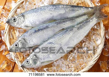 Stock Image - Raw fish. Fotosearch
