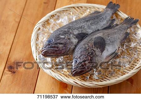 Raw fish View Large Photo Image Stock Photo - Raw fish. Fotosearch