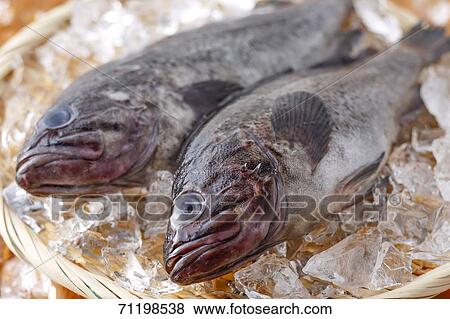 Stock Photo - Raw fish. Fotosearch