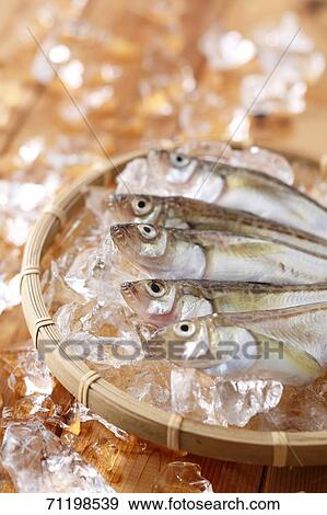 Raw fish View Large Photo Image Stock Photo - Raw fish. Fotosearch