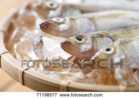 Stock Photo - Raw fish. Fotosearch