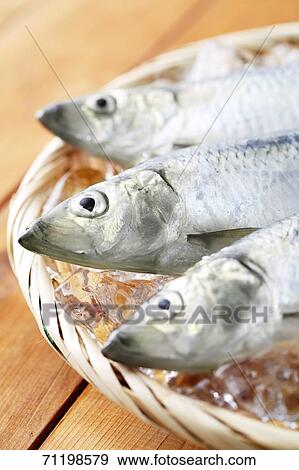 Raw fish View Large Photo Image Stock Photo - Raw fish. Fotosearch