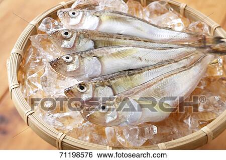 Raw fish View Large Photo Image Stock Photograph - Raw fish. Fotosearch