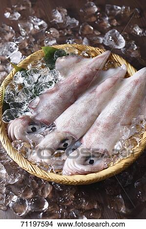 Picture - Raw squid. Fotosearch