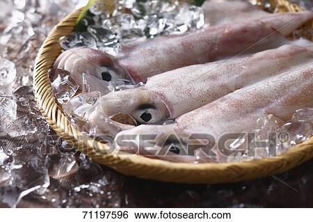 Raw squid View Large Photo Image Stock Photograph - Raw squid. Fotosearch