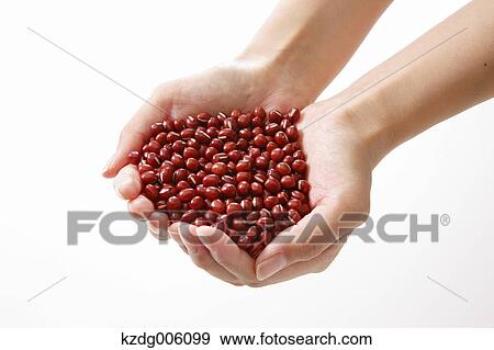 Stock Photo - Red beans. Fotosearch