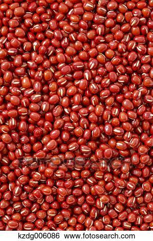 Red beans View Large Photo Image Stock Photograph - Red beans. Fotosearch