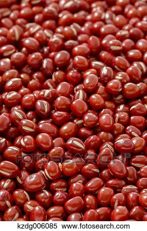 Red beans View Large Photo Image Stock Photography - Red beans. Fotosearch