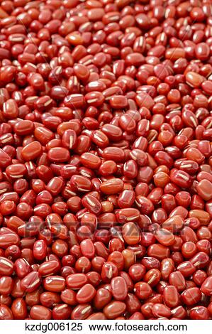 Red beans View Large Photo Image Stock Photography - Red beans. Fotosearch