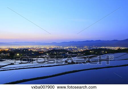 Rice Paddies, Yamanashi Prefecture, Japan View Large Photo Image Stock Image - Rice Paddies, Yamanashi Prefecture, Japan. Fotosearch