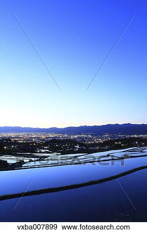 Rice Paddies, Yamanashi Prefecture, Japan View Large Photo Image Stock Photo - Rice Paddies, Yamanashi Prefecture, Japan. Fotosearch