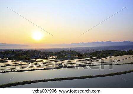 Rice Paddies, Yamanashi Prefecture, Japan View Large Photo Image Stock Photograph - Rice Paddies, Yamanashi Prefecture, Japan. Fotosearch