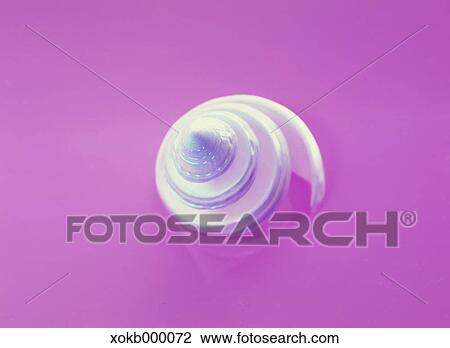Sea shell View Large Photo Image Stock Image - Sea shell. Fotosearch
