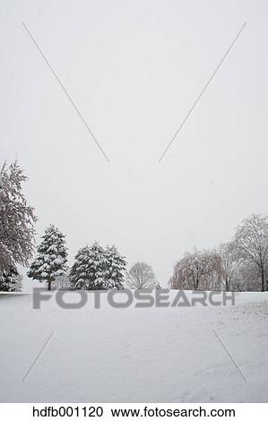 Snow at Sesso park, Nagano Prefecture, Japan View Large Photo Image Stock Image - Snow at Sesso park, Nagano Prefecture, Japan. Fotosearch