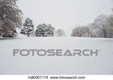 Snow at Sesso park, Nagano Prefecture, Japan View Large Photo Image Stock Photo - Snow at Sesso park, Nagano Prefecture, Japan. Fotosearch