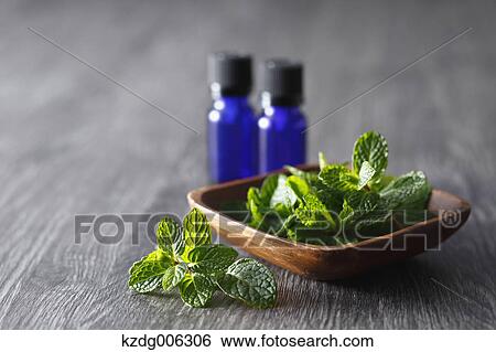 Stock Photograph - Spearmint. Fotosearch