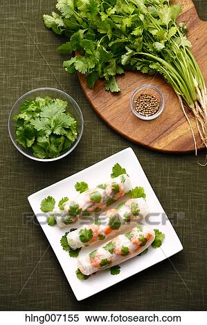 Spring rolls View Large Photo Image Stock Photography - Spring rolls. Fotosearch