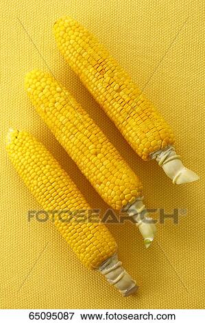 Stock Photo - Sweet corn. Fotosearch