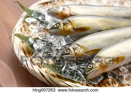 Sweetfish View Large Photo Image Stock Image - Sweetfish. Fotosearch