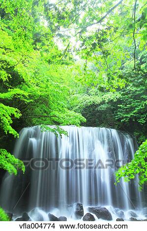 Tatsuzanfudou waterfall, Fukushima Prefecture, Japan View Large Photo Image Picture - Tatsuzanfudou waterfall, Fukushima Prefecture, Japan. Fotosearch