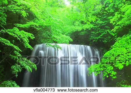 Tatsuzanfudou waterfall, Fukushima Prefecture, Japan View Large Photo Image Stock Image - Tatsuzanfudou waterfall, Fukushima Prefecture, Japan. Fotosearch