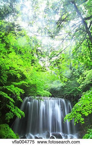 Tatsuzanfudou waterfall, Fukushima Prefecture, Japan View Large Photo Image Stock Photography - Tatsuzanfudou waterfall, Fukushima Prefecture, Japan. Fotosearch