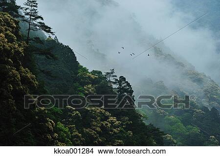 Toro Gorge, Japan View Large Photo Image Picture - Toro Gorge, Japan. Fotosearch
