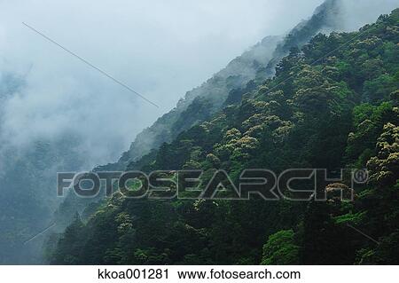 Toro Gorge, Japan View Large Photo Image Stock Image - Toro Gorge, Japan. Fotosearch