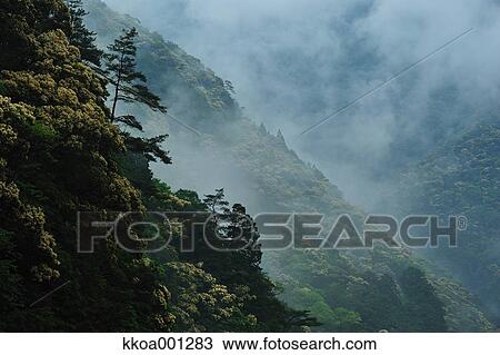 Toro Gorge, Japan View Large Photo Image Stock Image - Toro Gorge, Japan. Fotosearch