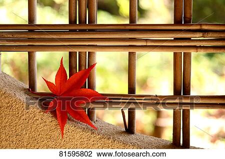 Autumn foliage View Large Photo Image Stock Image - Autumn foliage. Fotosearch
