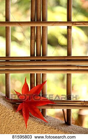 Autumn foliage View Large Photo Image Stock Image - Autumn foliage. Fotosearch