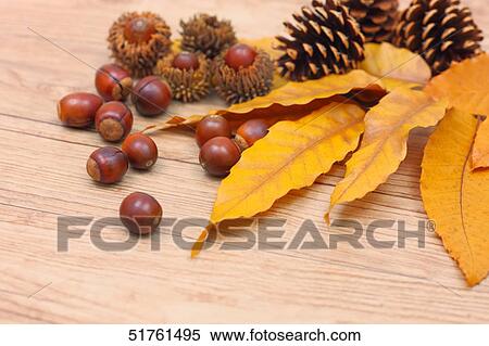 Autumn foliage View Large Photo Image Stock Photography - Autumn foliage. Fotosearch