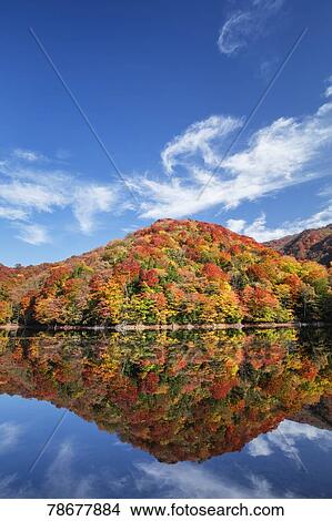 Picture - Autumn in Aomori Prefecture, Japan. Fotosearch