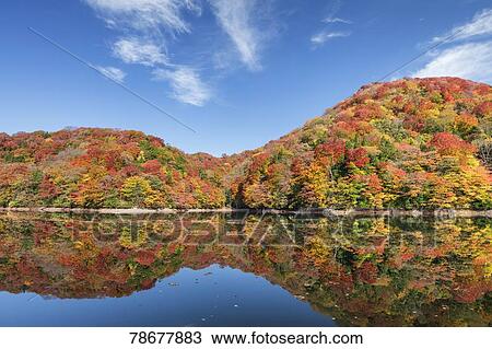 Stock Image - Autumn in Aomori Prefecture, Japan. Fotosearch