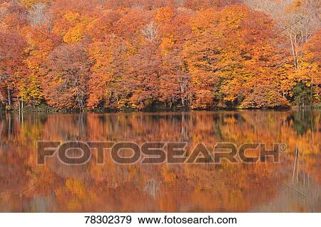 Stock Photo - Autumn in Aomori Prefecture, Japan. Fotosearch
