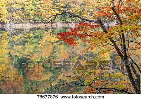 Stock Photograph - Autumn in Aomori Prefecture, Japan. Fotosearch