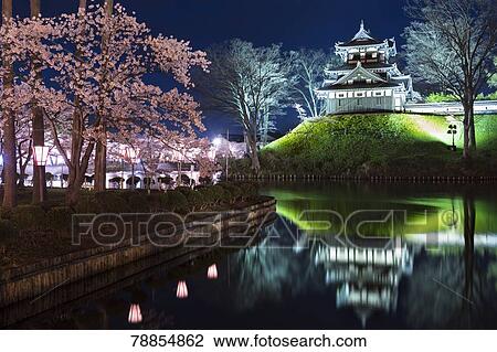Stock Image - Cherry blossoms at Takada Castle Park, Niigata Prefecture, Japan. Fotosearch
