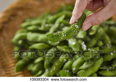 Edamame green soy beans View Large Photo Image Picture - Edamame green soy beans. Fotosearch