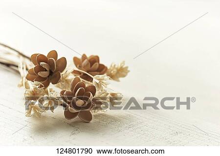 Stock Image - Flower arrangement. Fotosearch