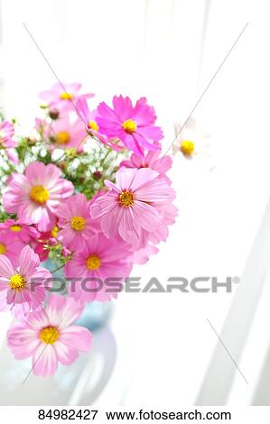 Stock Photo - Flowers. Fotosearch
