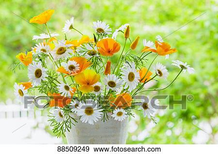 Stock Photo - Flowers. Fotosearch