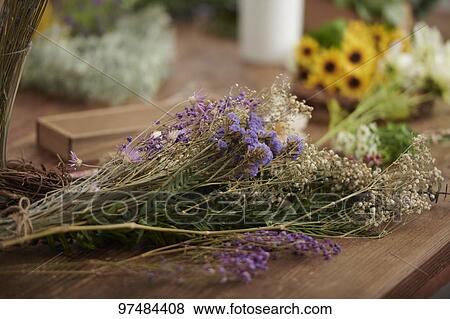 Flowers View Large Photo Image Stock Photo - Flowers. Fotosearch