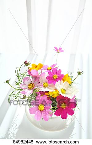 Flowers View Large Photo Image Stock Photography - Flowers. Fotosearch