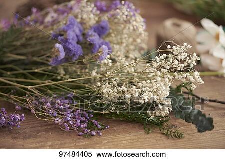 Flowers View Large Photo Image Stock Photography - Flowers. Fotosearch
