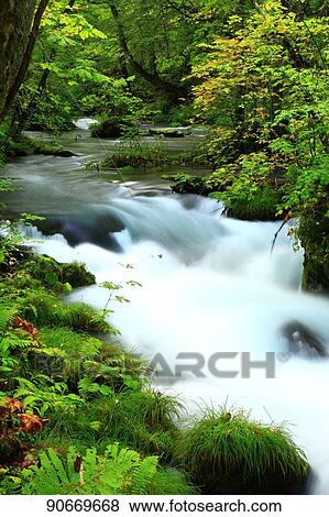 Stock Photo - Fresh green in Aomori Prefecture, Japan. Fotosearch