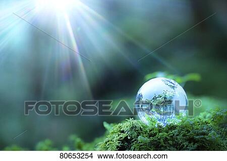 Picture - Glass sphere in the woods. Fotosearch