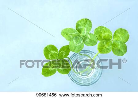 Stock Photograph - Green foliage. Fotosearch