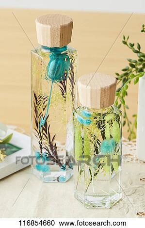 Stock Image - Herbarium. Fotosearch